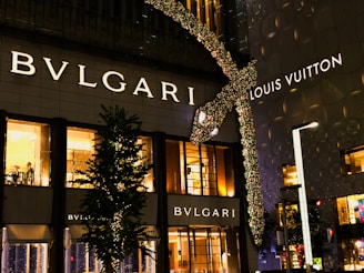 a building with a lit up christmas tree in front of it