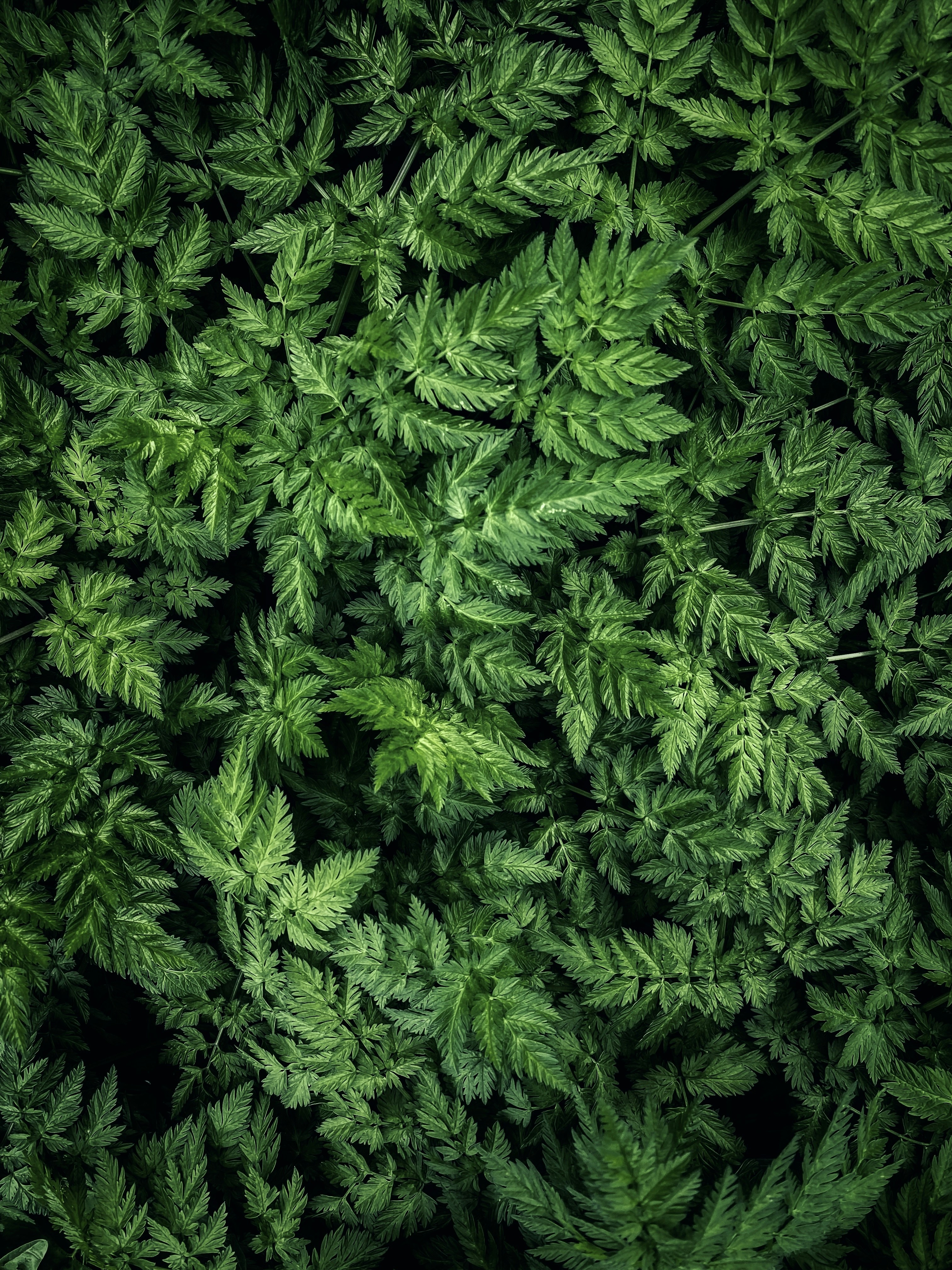 Photo by eugene_golovesov