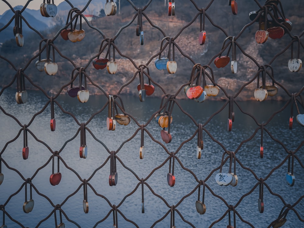 a chain link fence with lots of locks attached to it