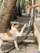 A dog with a light brown and white coat is standing on its hind legs near a tree, reaching up towards a person's hand holding a treat. The setting is outdoors, with a garden hose and some stone tiles visible.