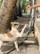 A dog with a light brown and white coat is standing on its hind legs near a tree, reaching up towards a person's hand holding a treat. The setting is outdoors, with a garden hose and some stone tiles visible.