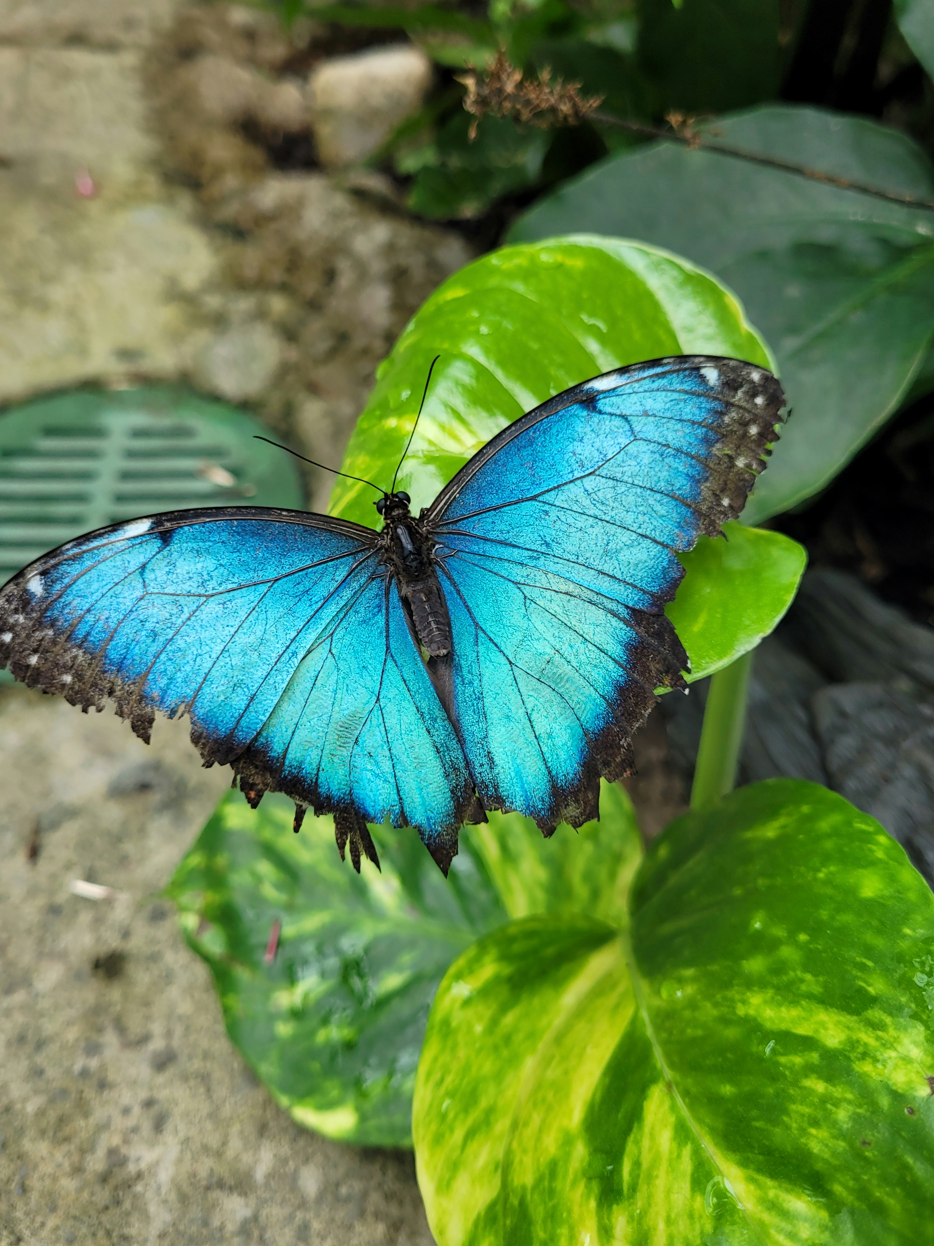 Photo by panda_________________________________________animations89