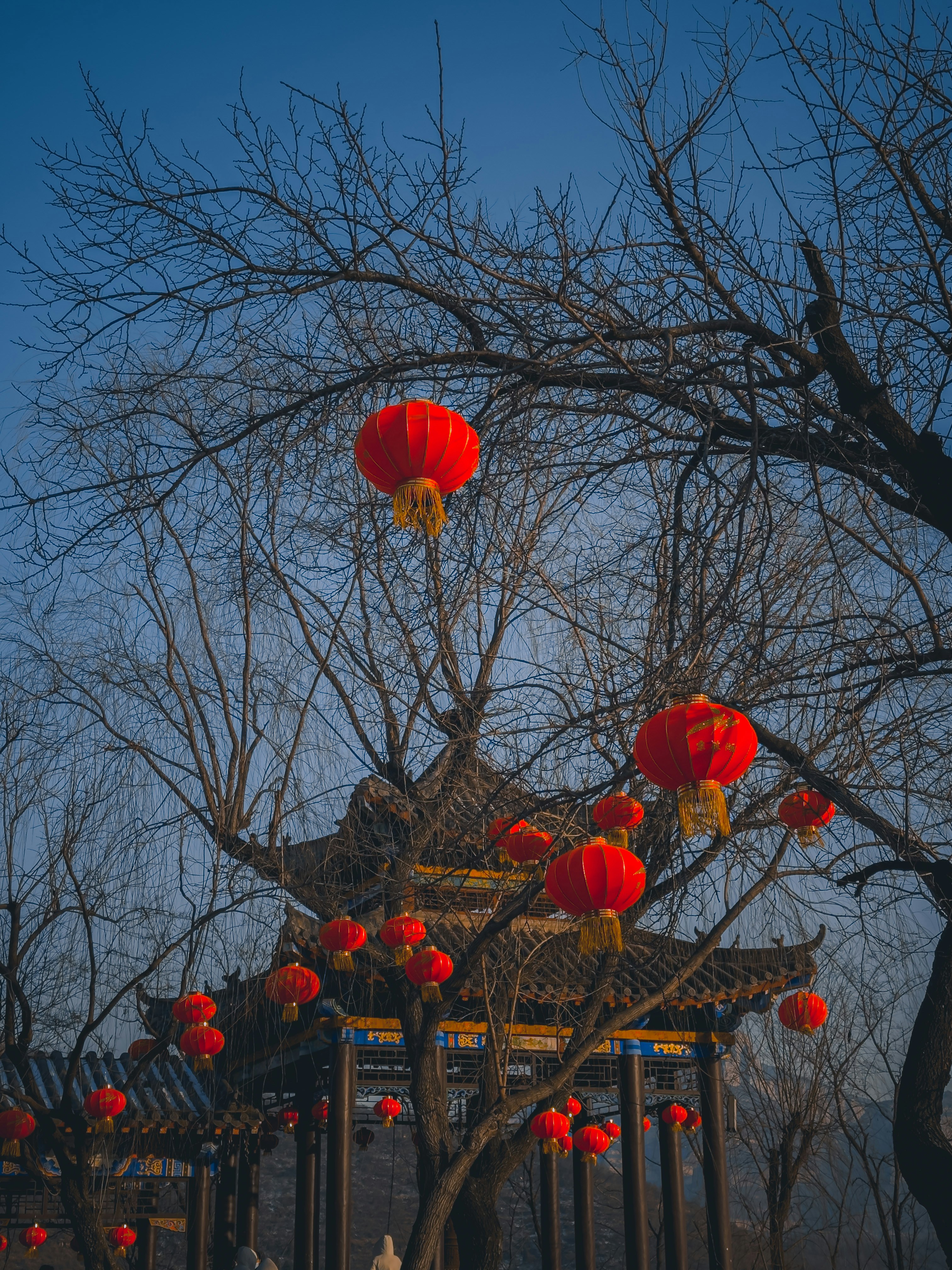 Photo by wangbinghua