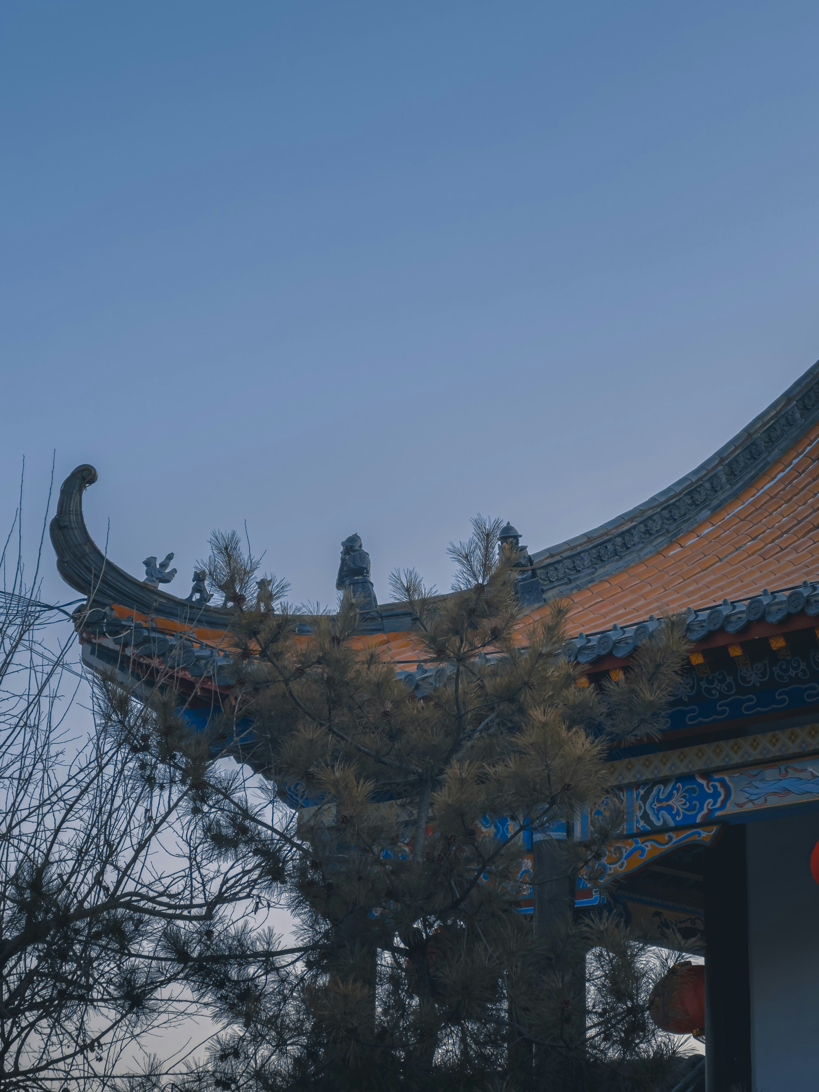 Photo by wangbinghua