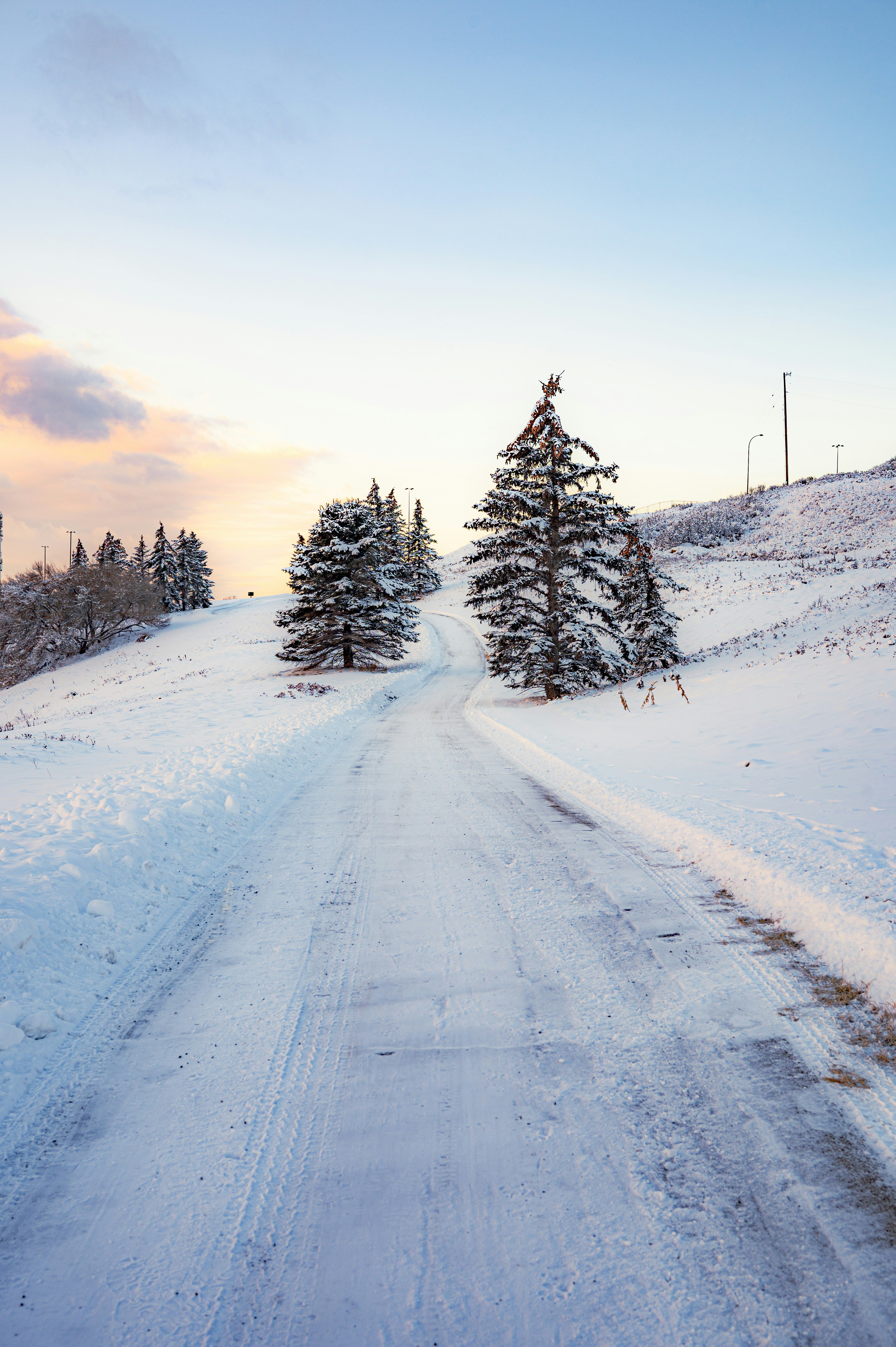 Photo by ryunosuke_kikuno