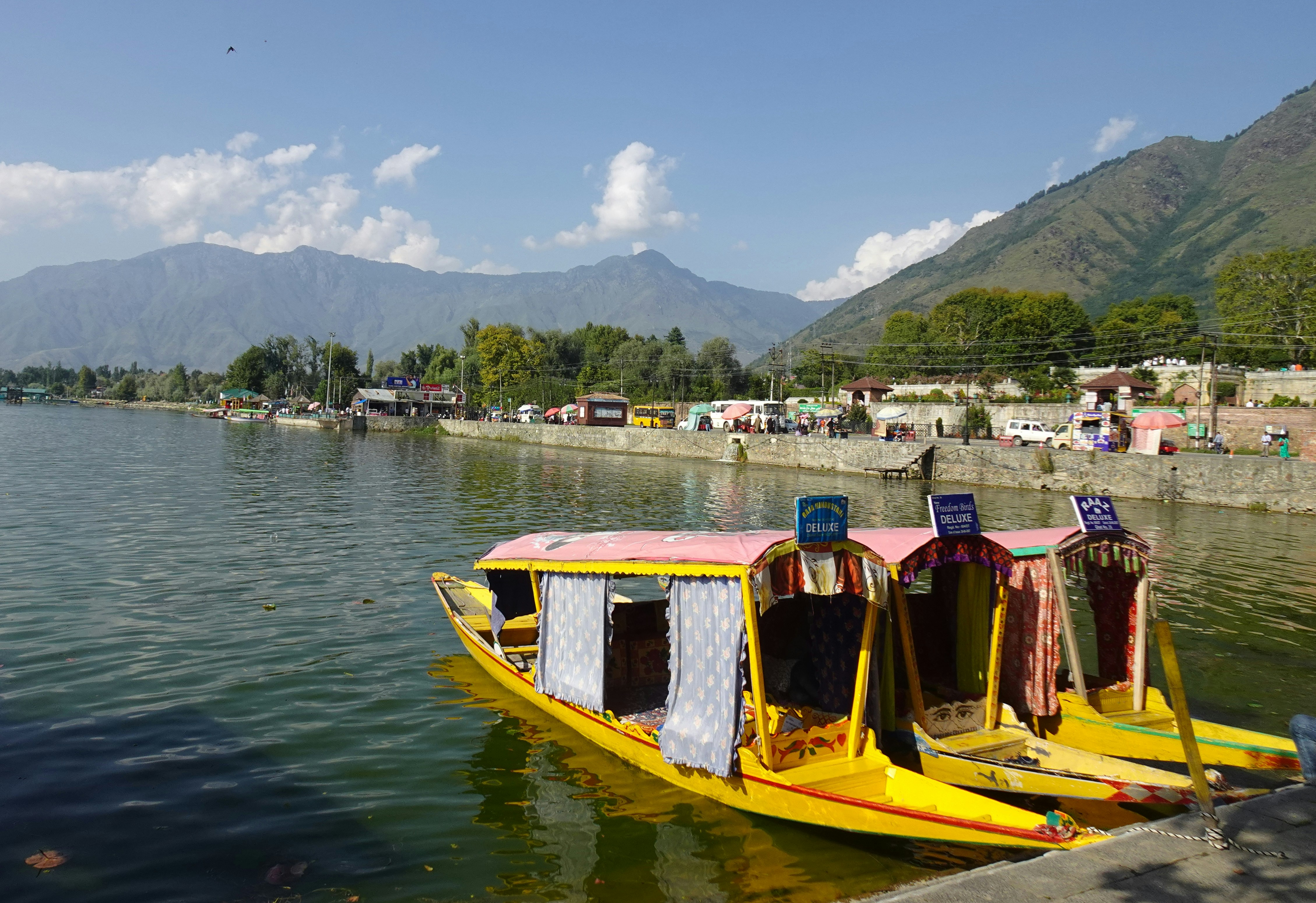 صورة المعرض