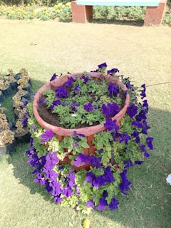 Brightly blooming wildflowers and herbs spilling from hand-painted terracotta pots along a wooden fence.