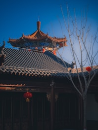 Blue sky framing a traditional temple roof with red accents in the foreground.