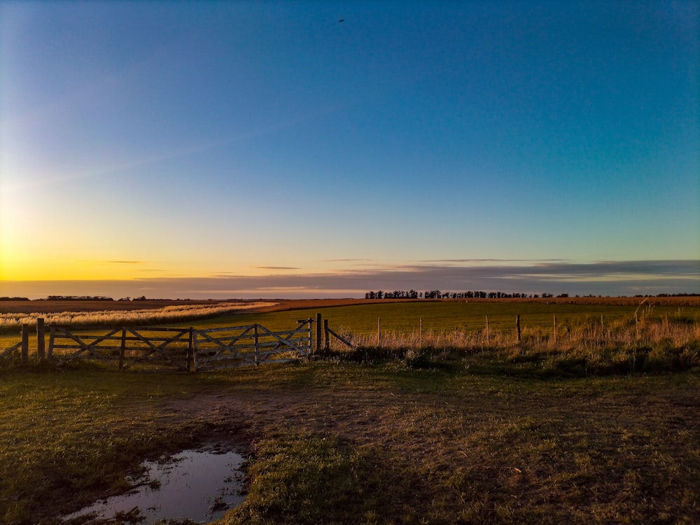 the sun is setting over a grassy field