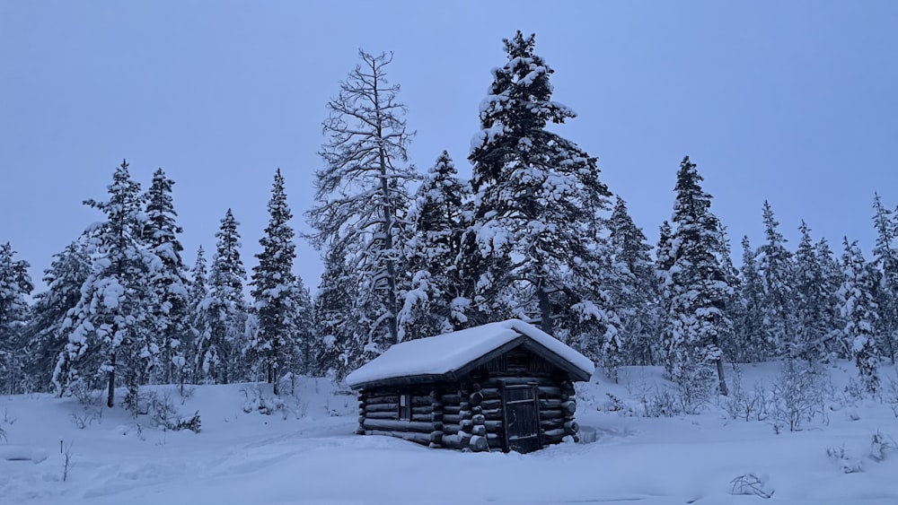 a log cabin in the middle of a snowy forest