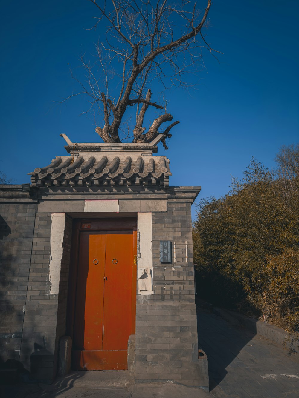 a red door in a stone building with a tree growing out of it