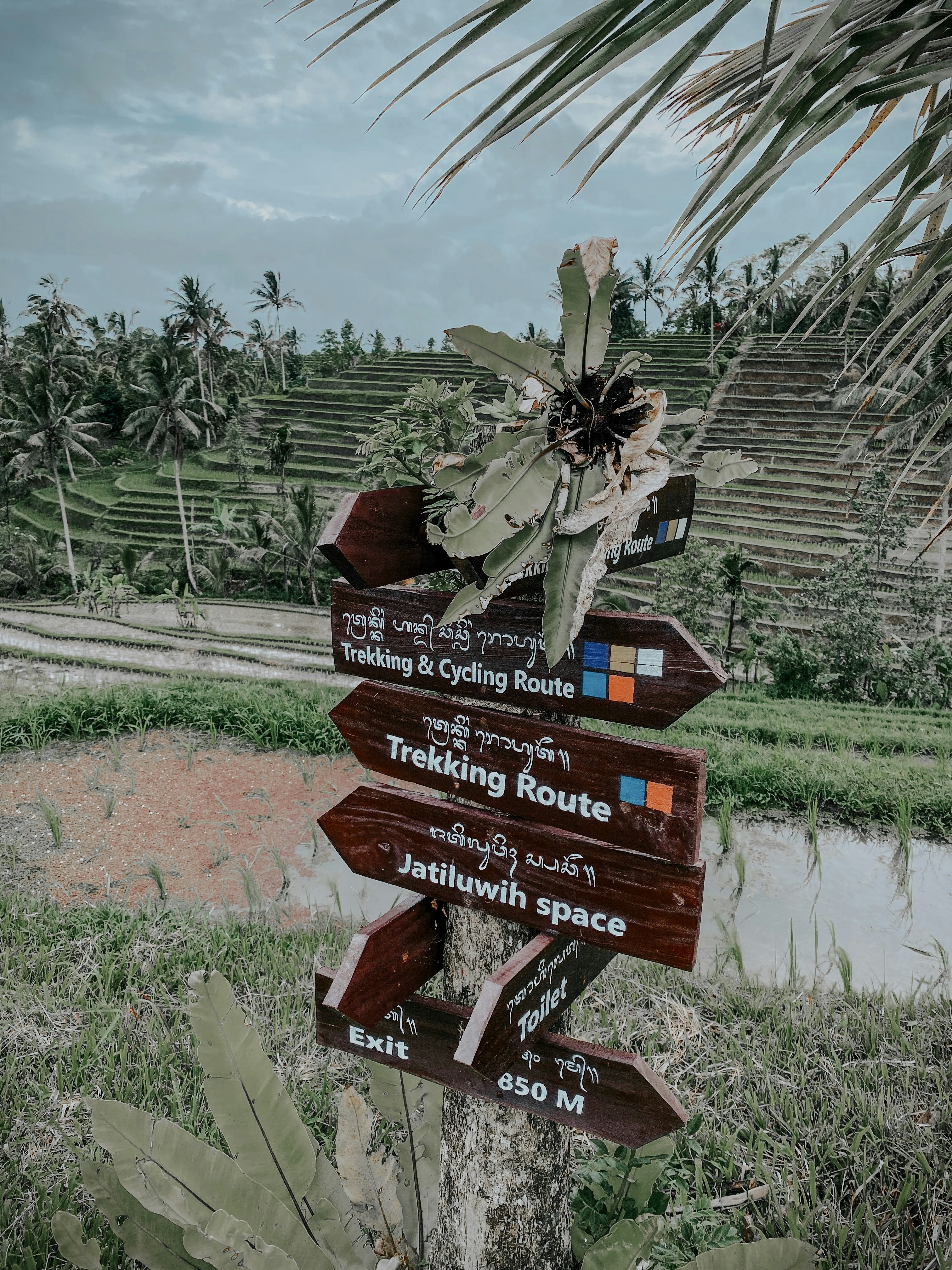 Un letrero de madera que apunta en diferentes direcciones