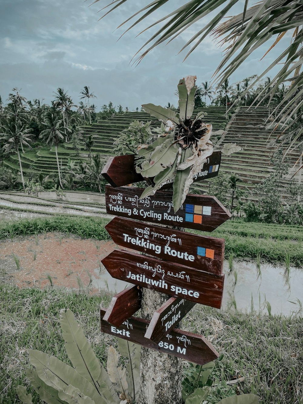 a wooden sign pointing in different directions