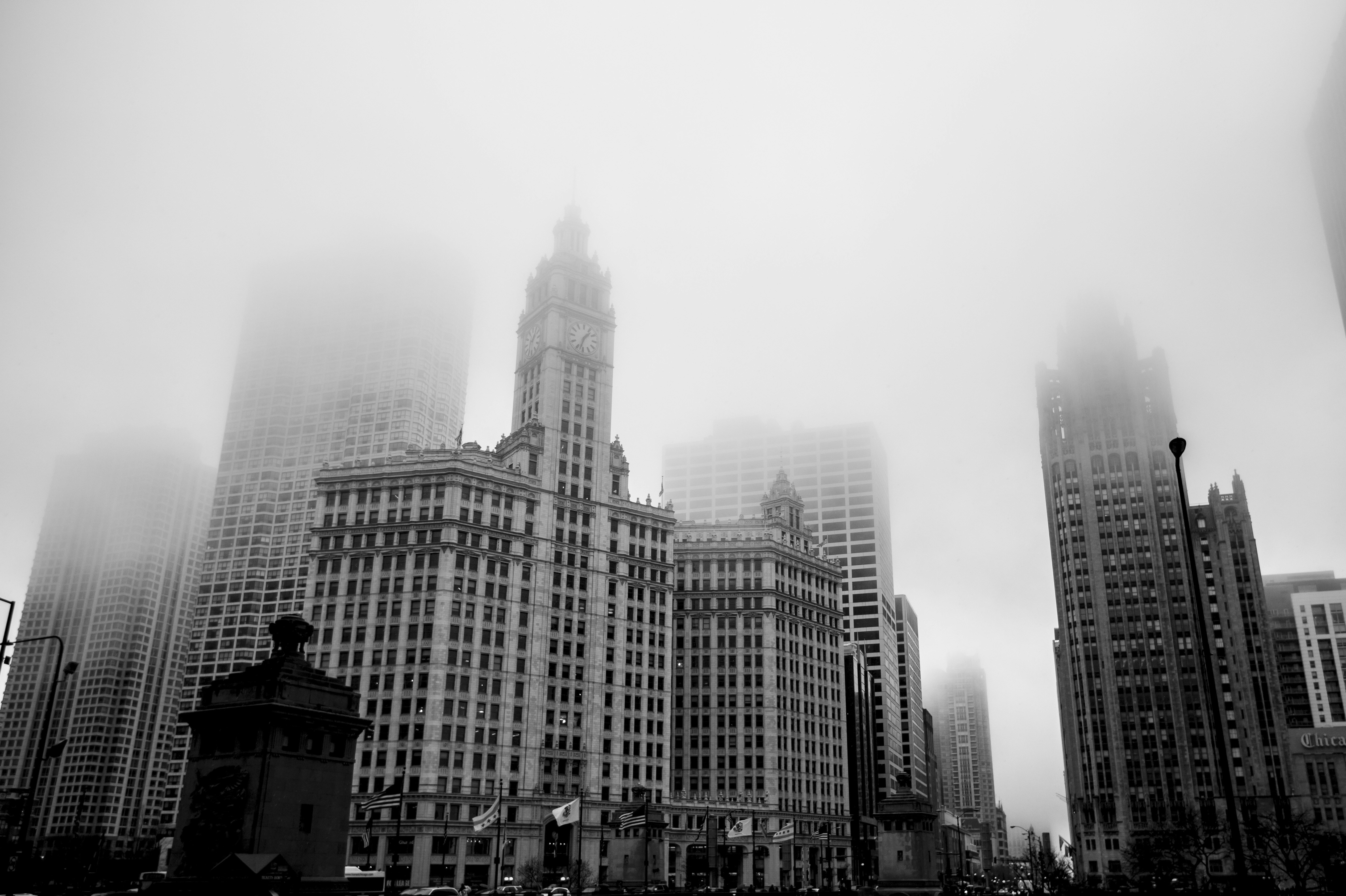 Photo by leo_visions_