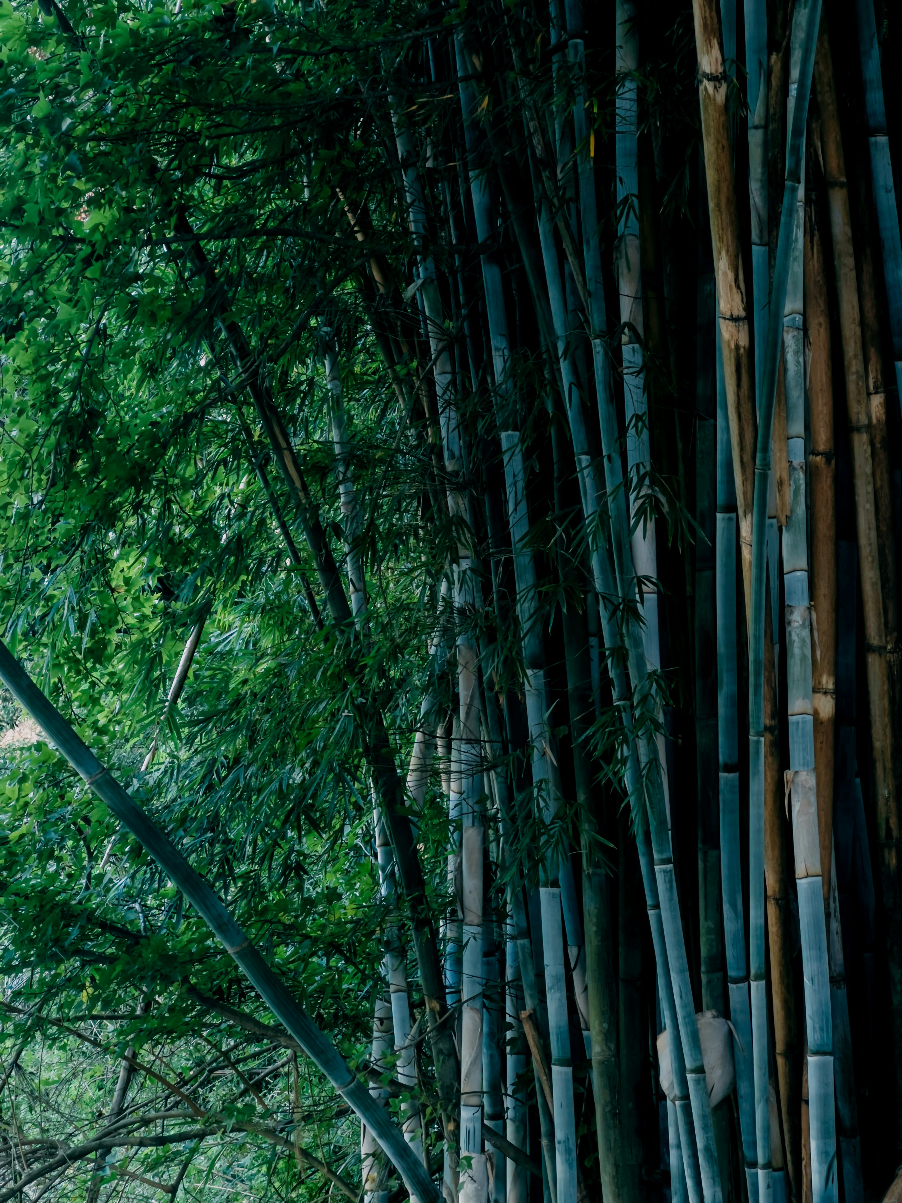 Photo by wangbinghua