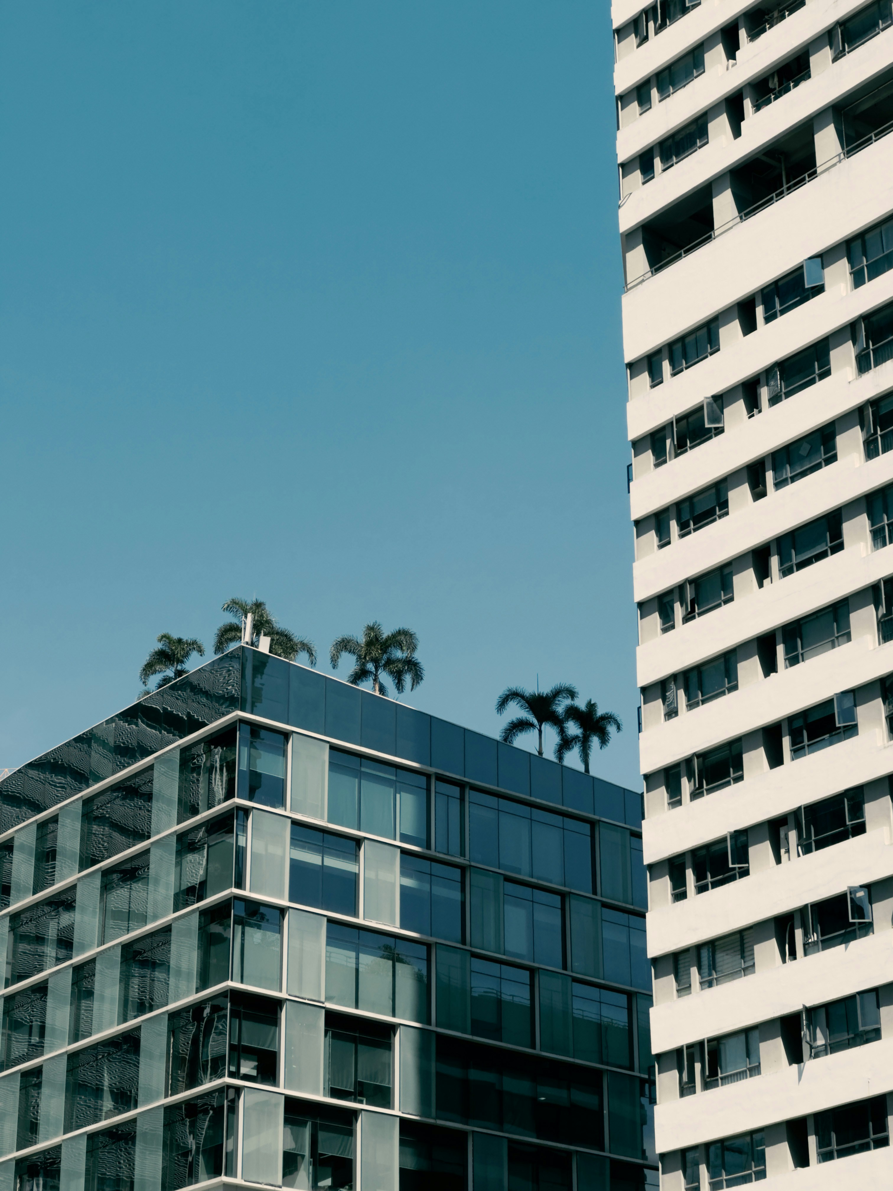 Photo by wangbinghua