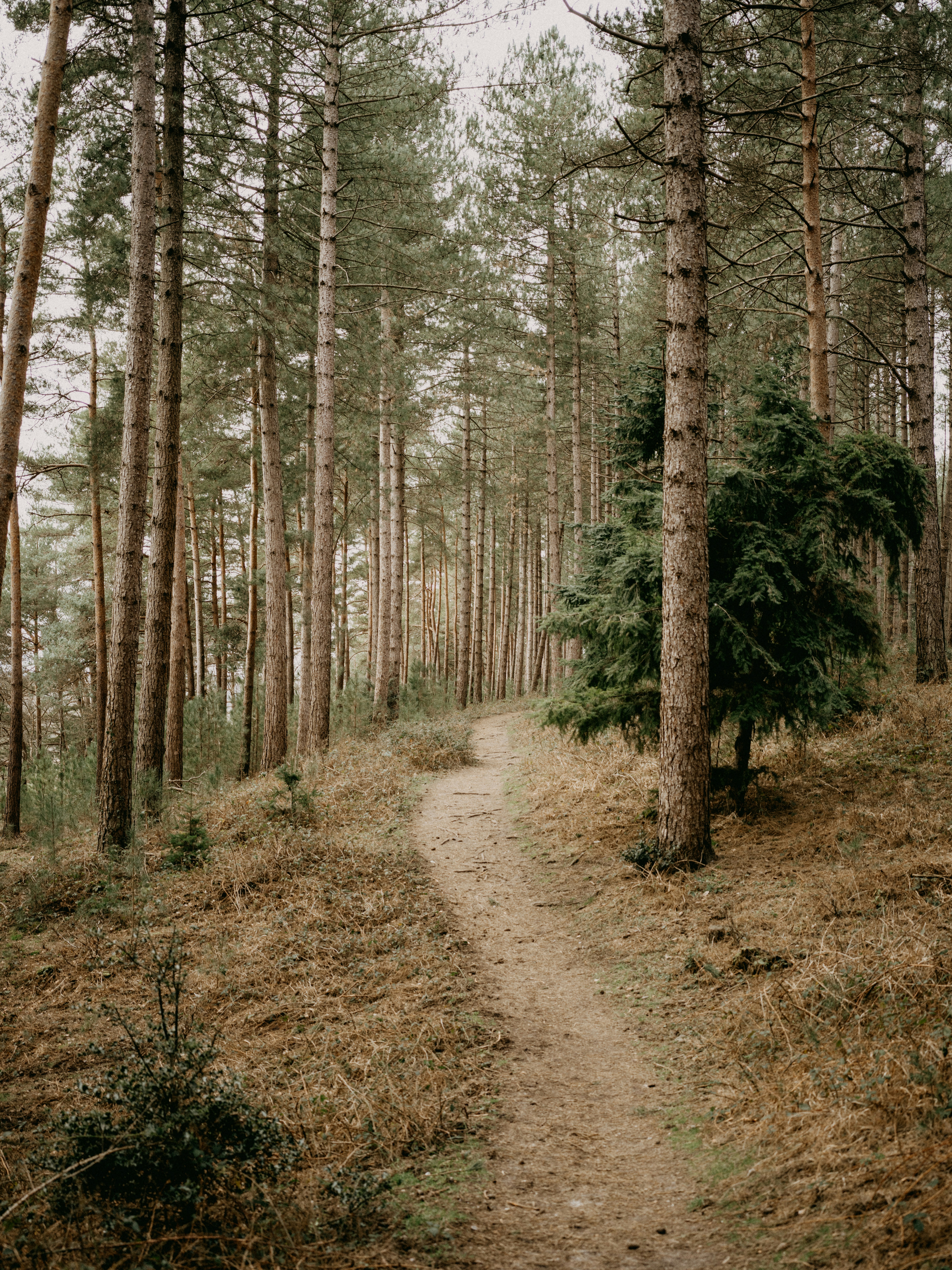 Photo by anniespratt