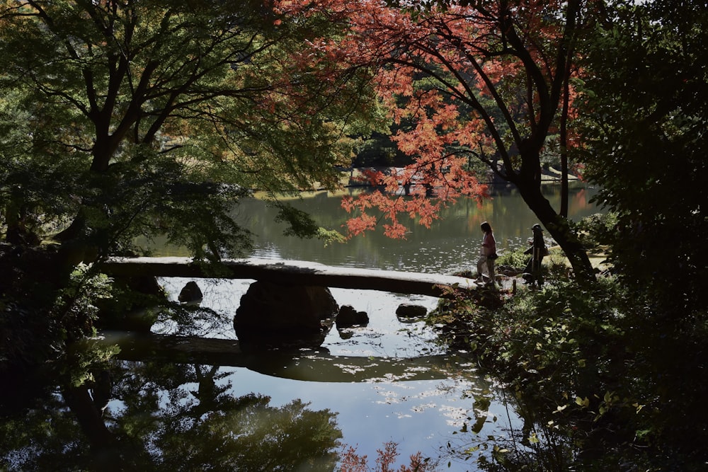 a person walking across a bridge over a pond