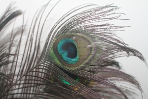 Emerald Peacock Charm