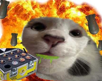 a white cat with a yellow box in front of a fire