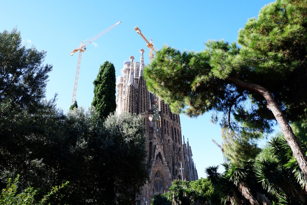 a very tall building surrounded by lots of trees