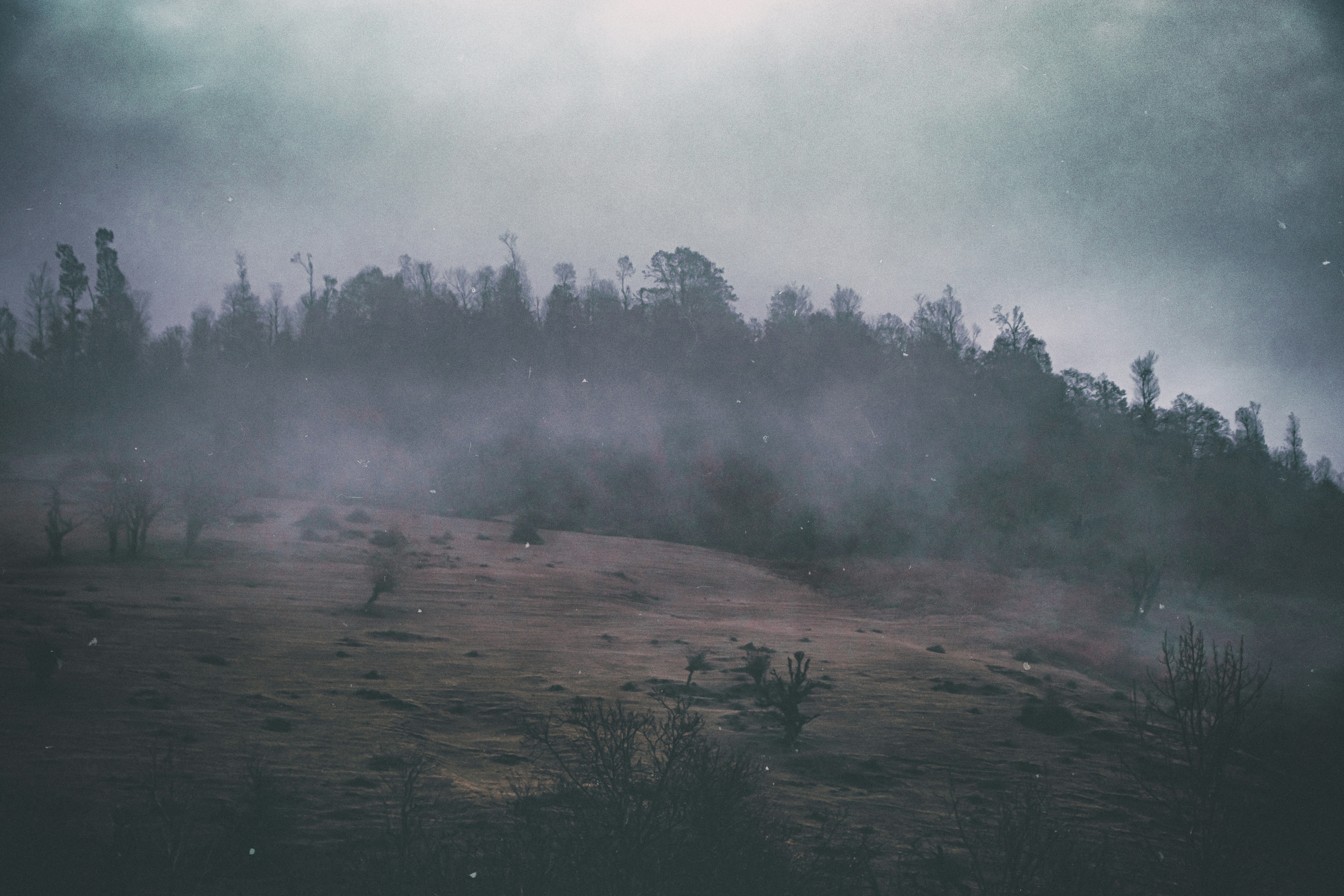 Photo by mahdibafande