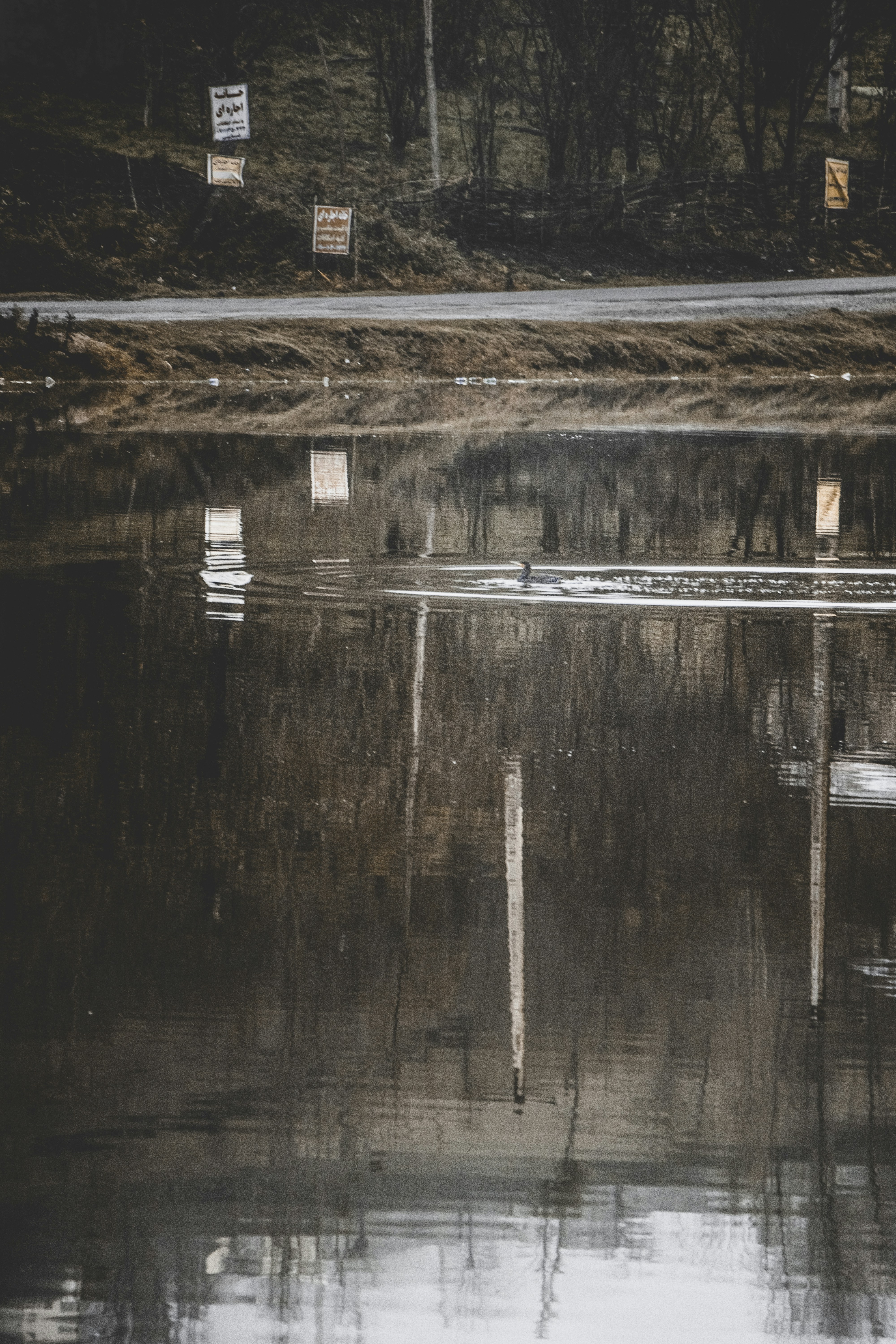 Photo by mahdibafande