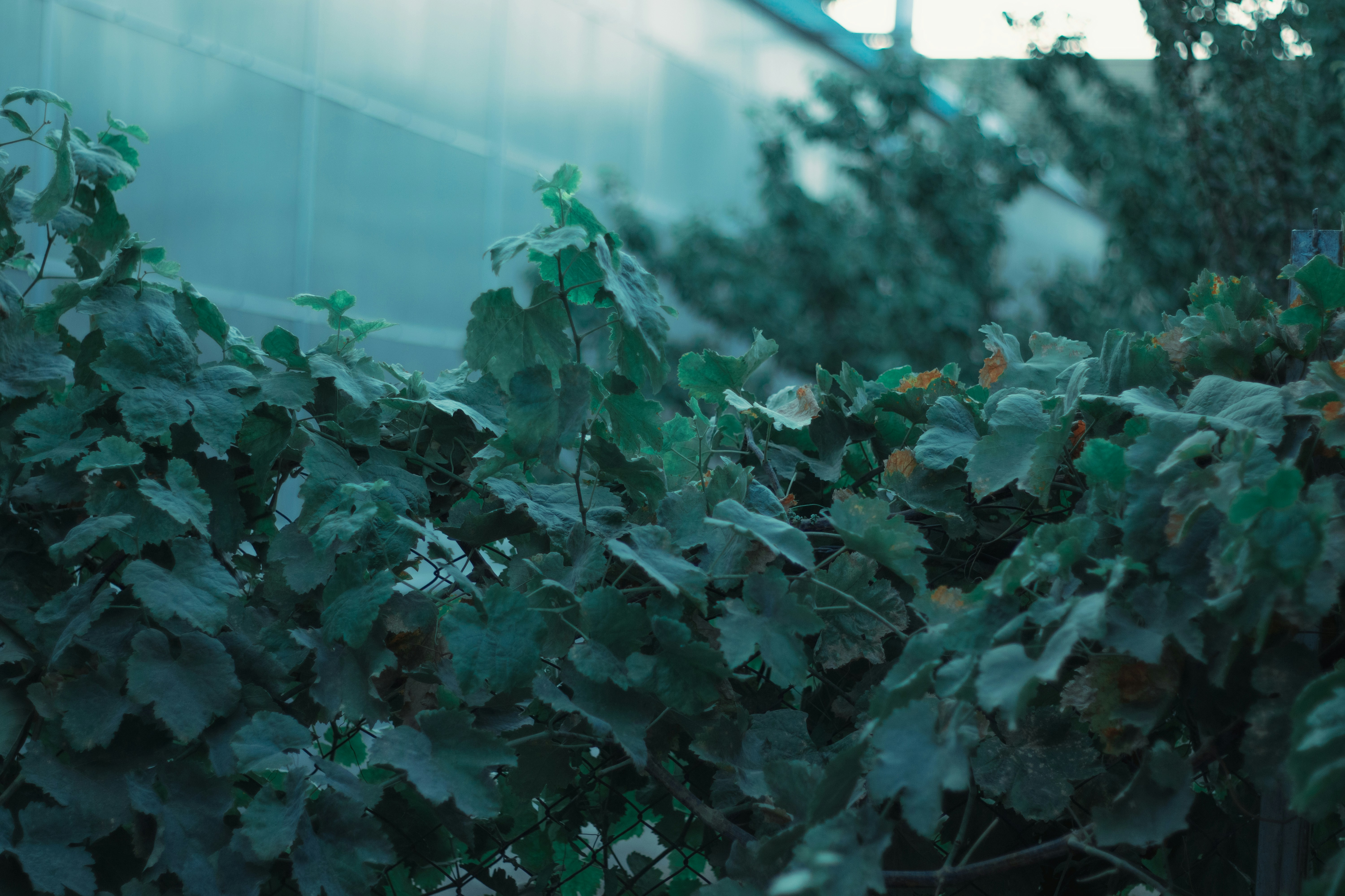 Photo by mahdibafande