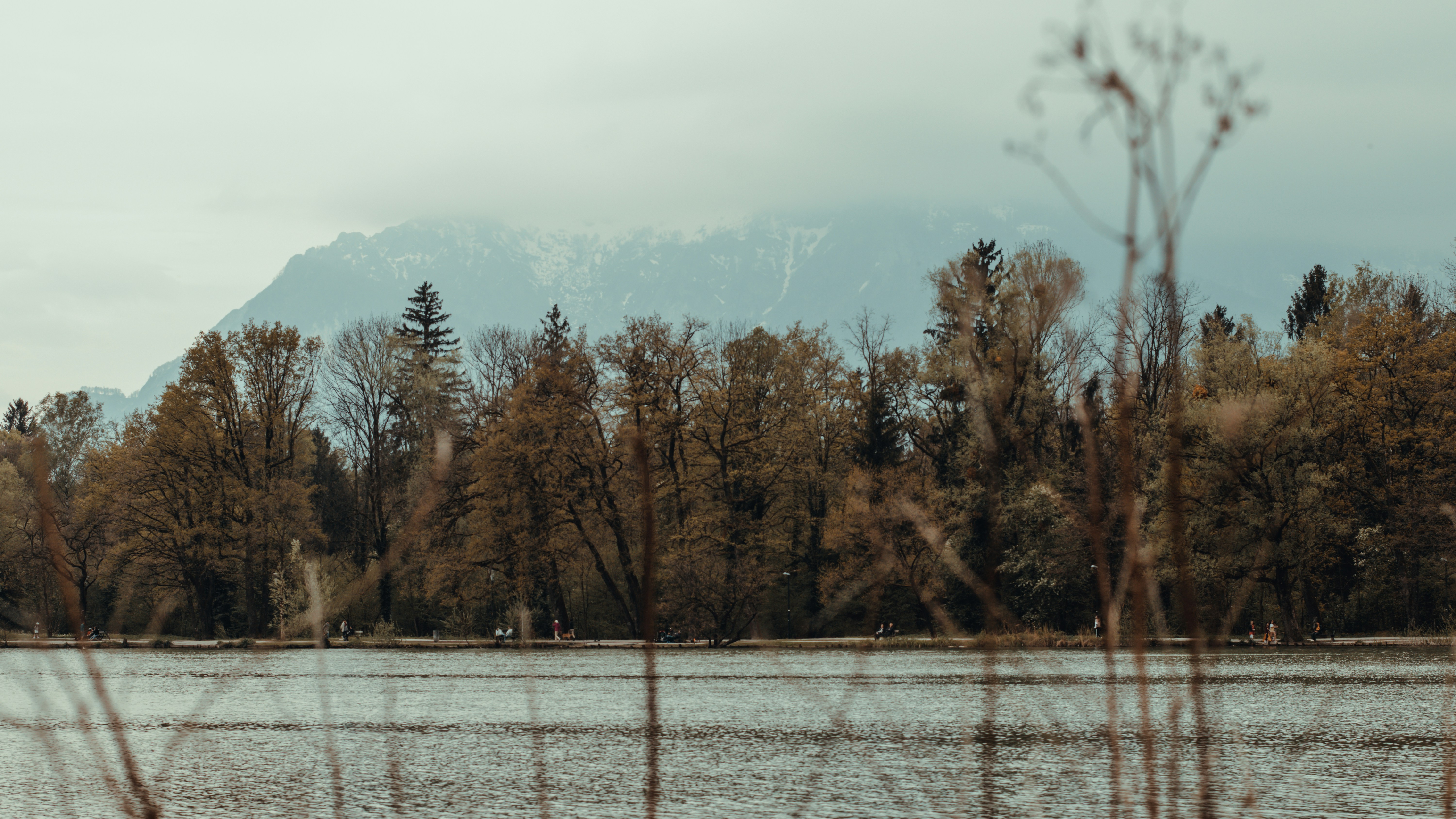 Ein Gewässer, umgeben von Bäumen und Bergen