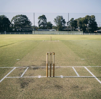 a cricket field with a bat and ball on it