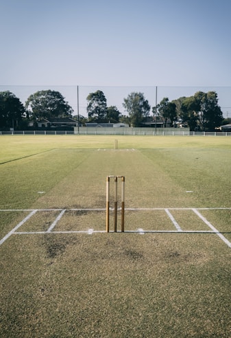 a cricket field with a bat and ball on it