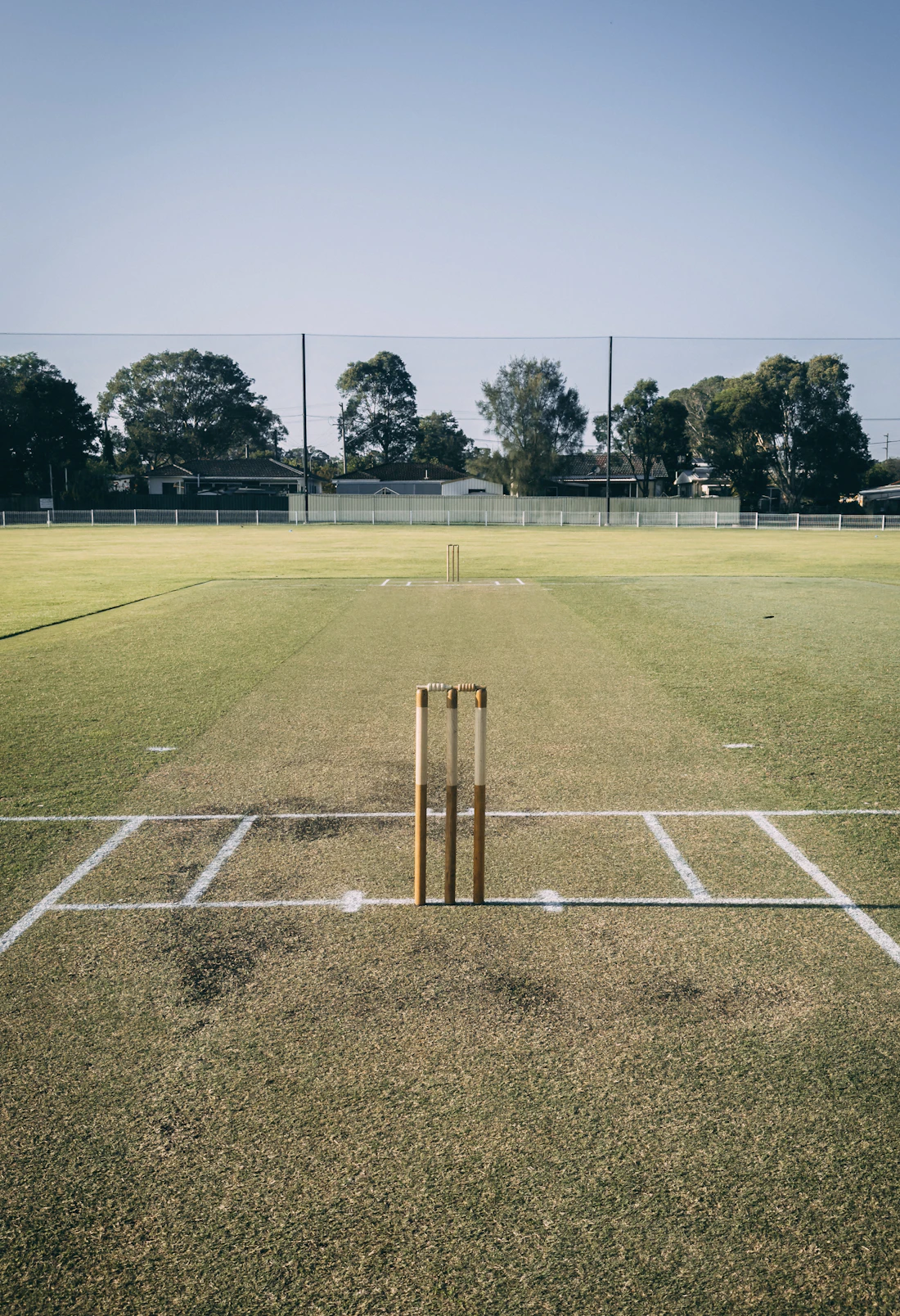 Cricket stumps on a prepared pitch