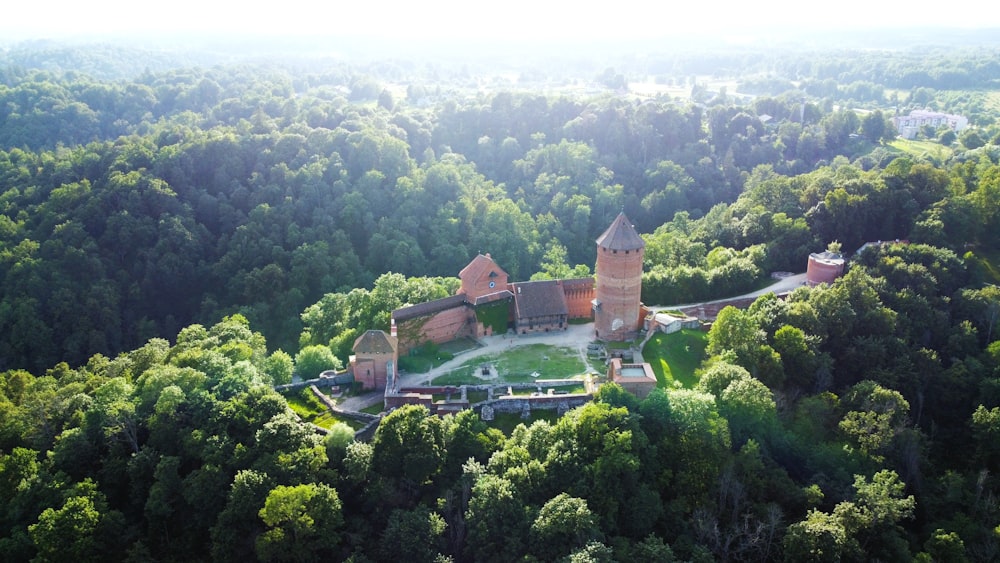 Luftaufnahme einer von Bäumen umgebenen Burg
