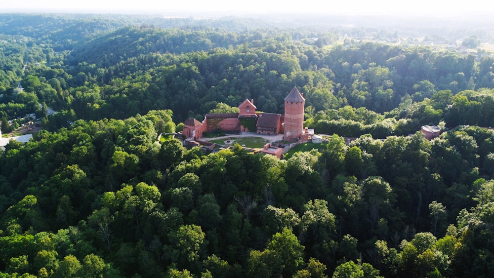 an aerial view of a castle surrounded by trees