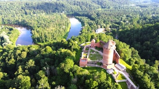 an aerial view of a castle surrounded by trees