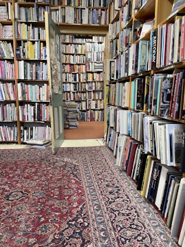 A cozy bookstore or library corner filled with tall wooden shelves packed with a variety of books. The room is adorned with a vintage Persian-style carpet covering the floor, and an open door leads to another book-filled space. Natural light softly illuminates the room, highlighting the colorful book spines and intricate carpet patterns.