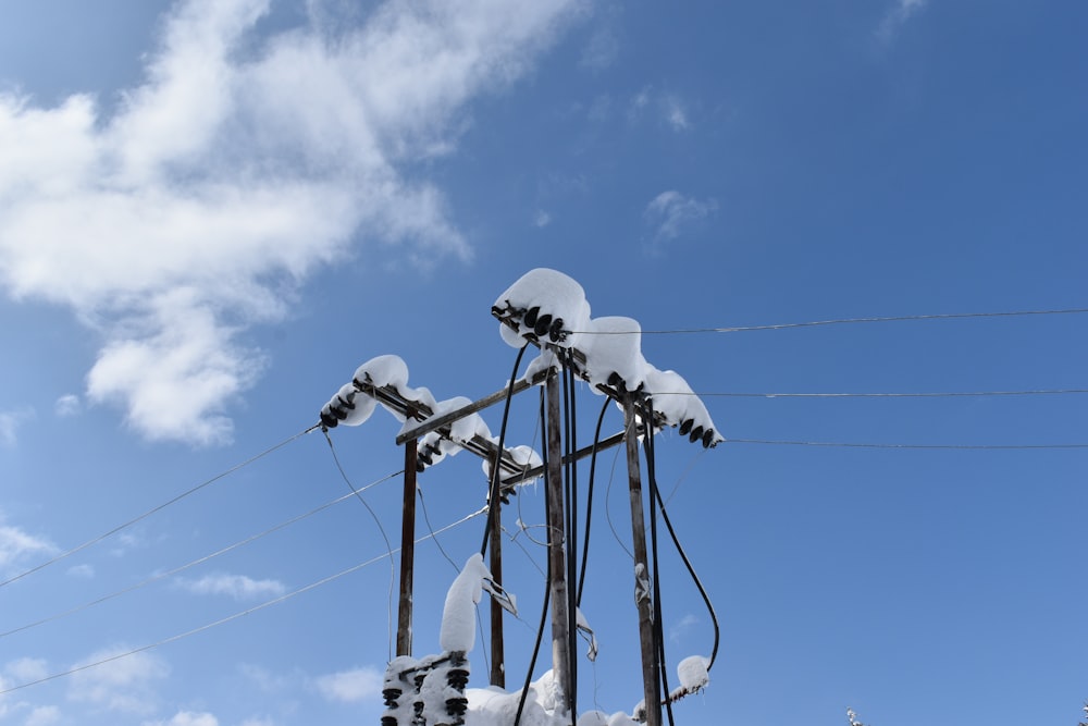 a telephone pole covered in snow under a blue sky