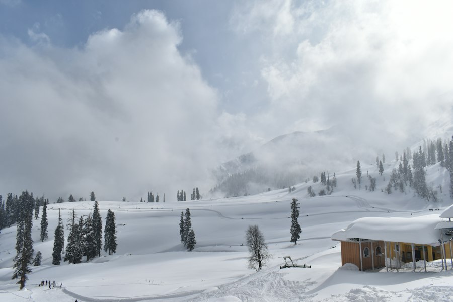 Gulmarg meadow covered in snow with a wooden cabin and pine trees in December