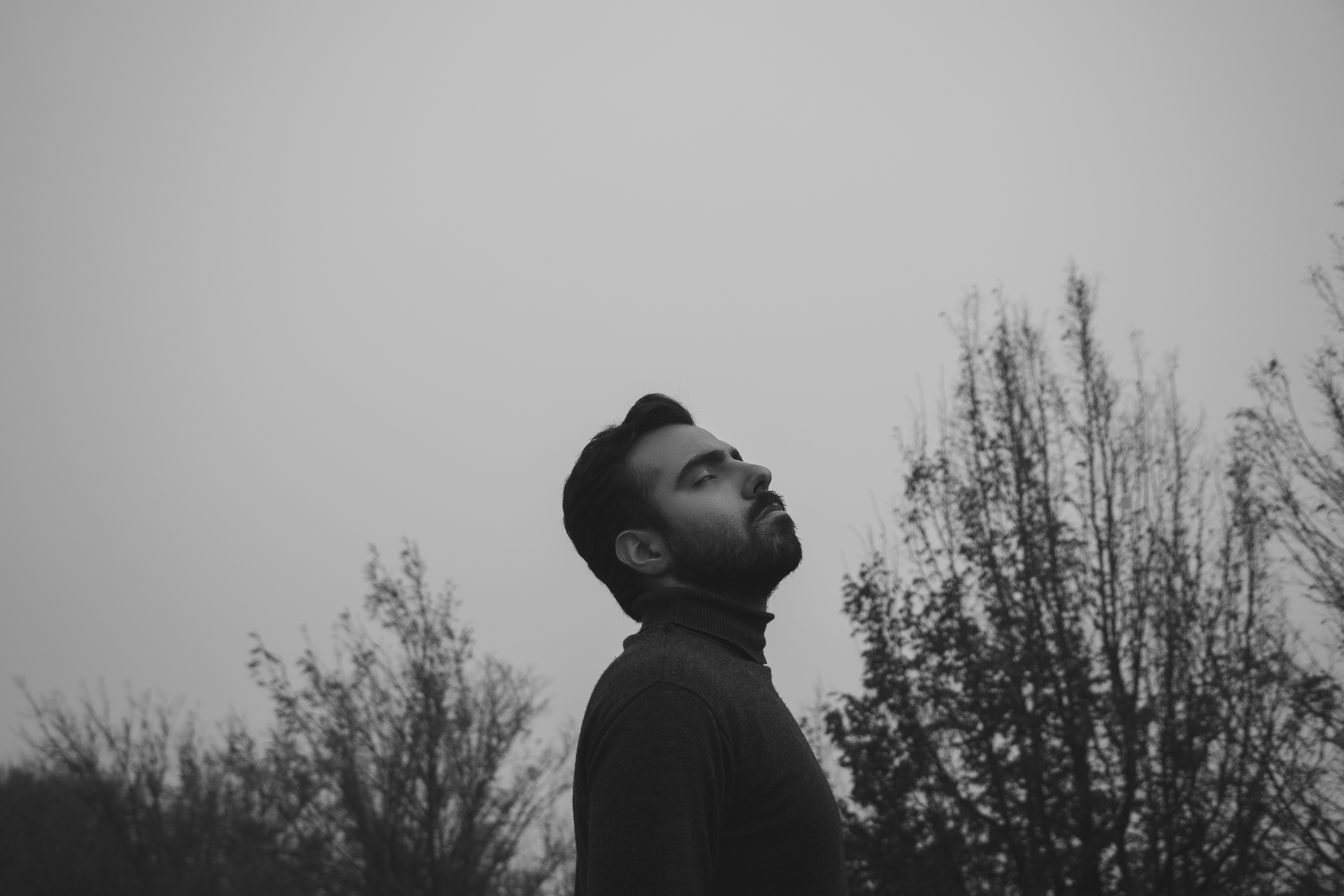 Photo by mahdibafande