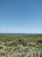 A serene landscape photo where the horizon line extends beyond the top edge.