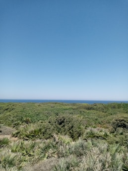 A serene landscape representing the essence of omnitology.