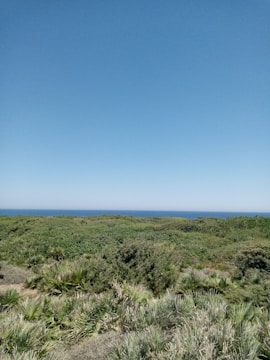 A serene landscape photo where the horizon line extends beyond the top edge.