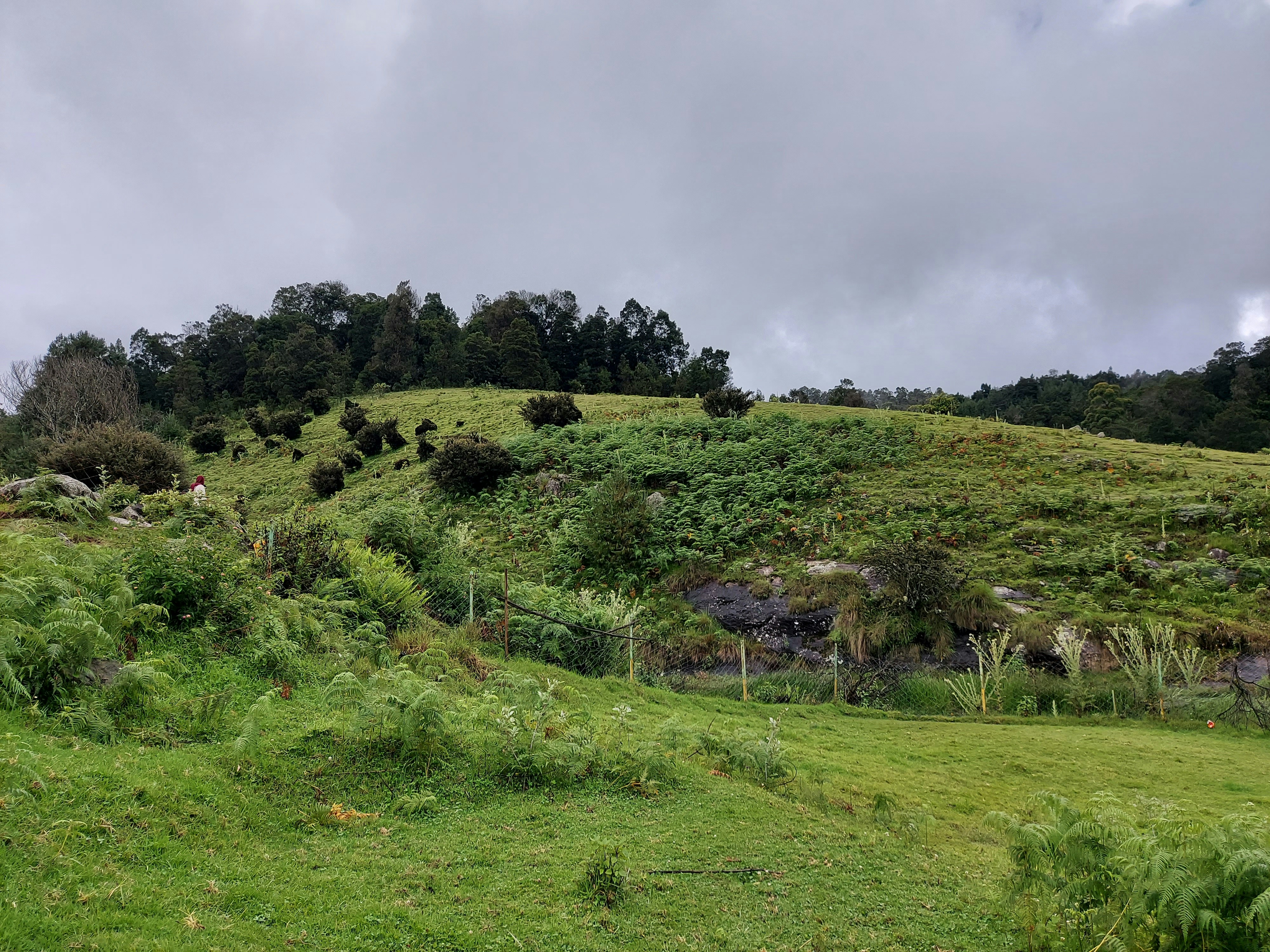 Photo by mohamedshaik