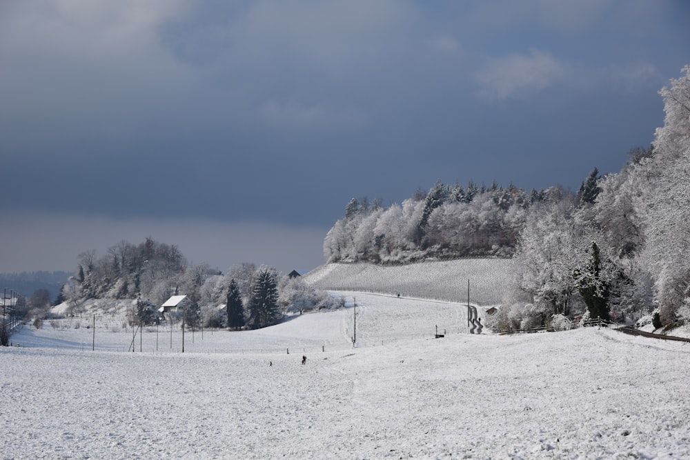 a snowy landscape with trees and houses in the distance