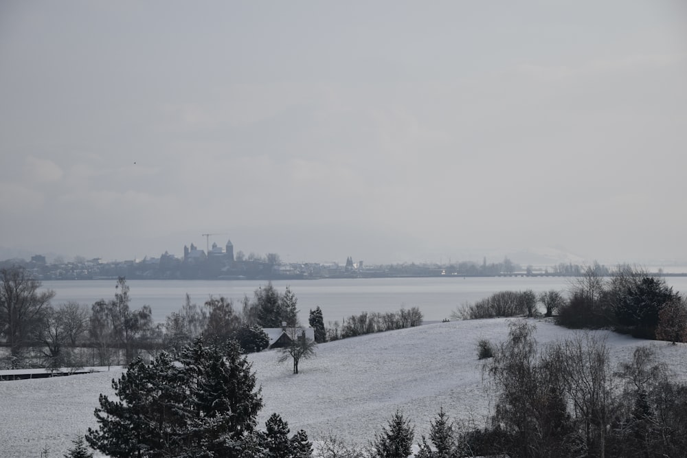un paisaje nevado con árboles y un cuerpo de agua