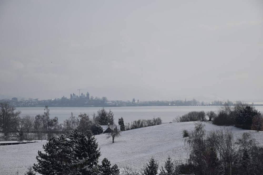 a snowy landscape with trees and a body of water