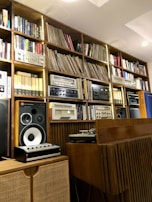 A wooden shelf filled with retro cameras and classic vinyl records.