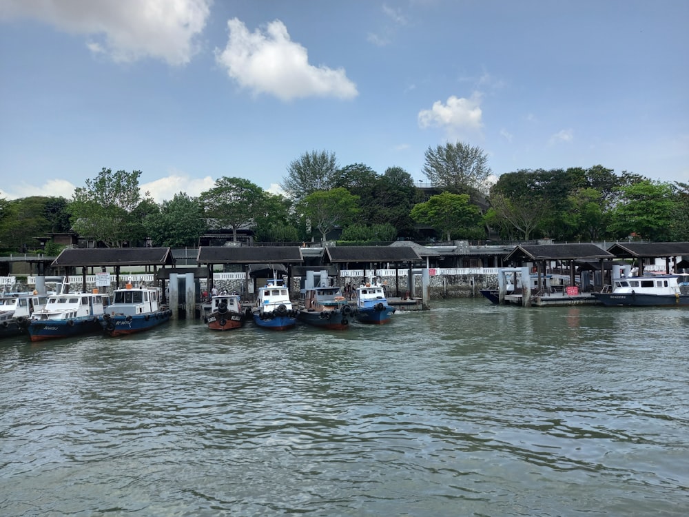 a group of boats docked at a dock