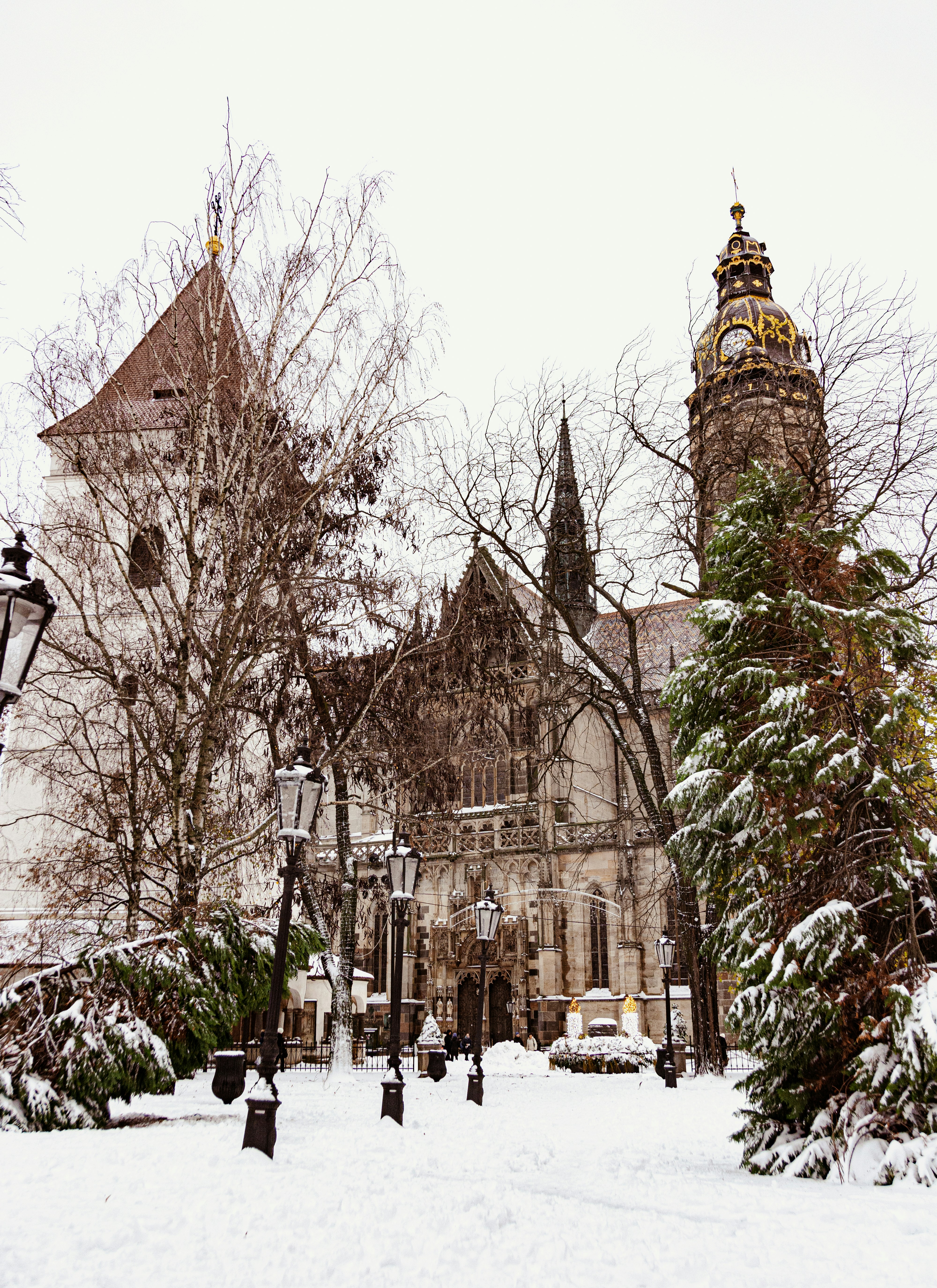 Photo by emotionphotography_by_gabi