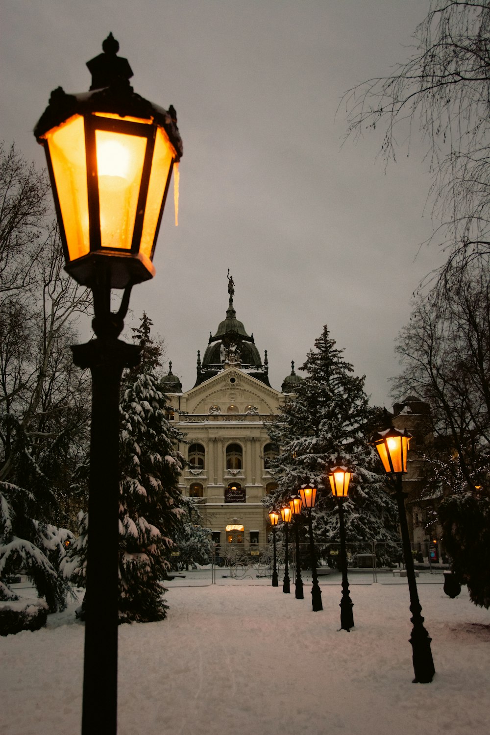 a street light in the middle of a snow covered park